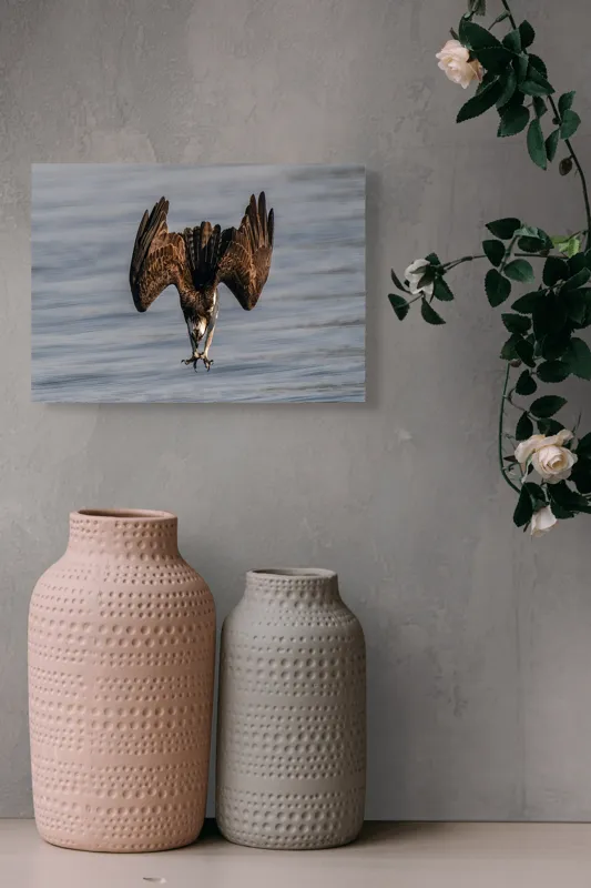 Tablou Canvas, "Vulturul la vânătoare în zbor", Zbor, Pescăruș, Prindere, Imersiune, Natură, Aripi, Păsare, Dinamică, 54 x 39 cm – poza 8