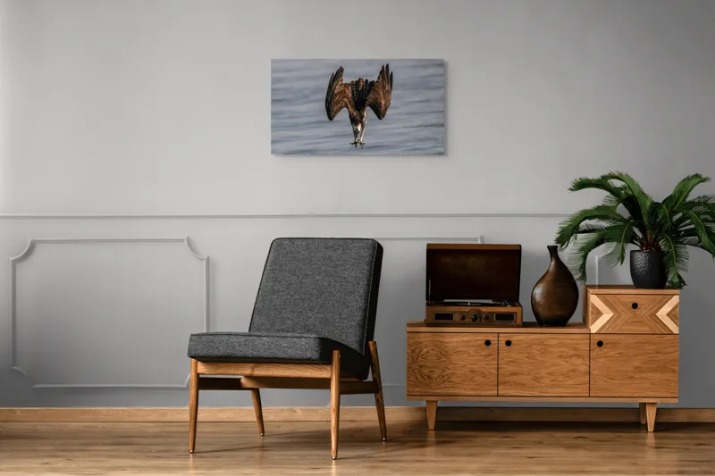Tablou Canvas, "Vulturul la vânătoare în zbor", Zbor, Pescăruș, Prindere, Imersiune, Natură, Aripi, Păsare, Dinamică, 90 x 50 cm – poza 6