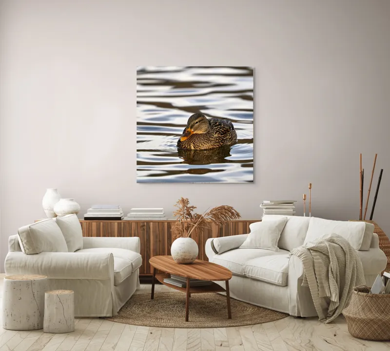 Tablou Canvas, "Rață singuratică pe oglinda apei", Rață, Apă, Plutire, Reflecție, Pene, Liniște, Natură, Serenitate., 100 x 100 cm – poza 3