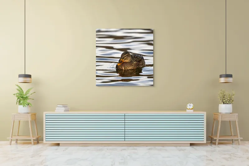 Tablou Canvas, "Rață singuratică pe oglinda apei", Rață, Apă, Plutire, Reflecție, Pene, Liniște, Natură, Serenitate., 100 x 100 cm – poza 5