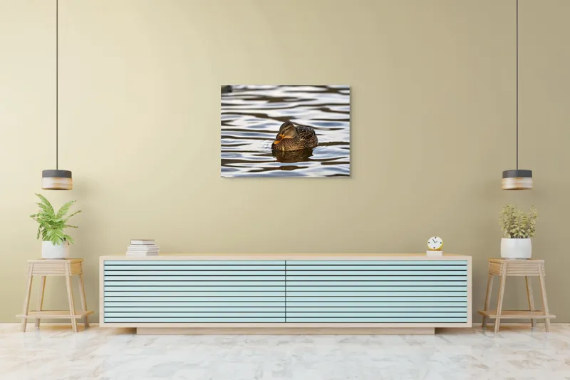 Tablou Canvas, "Rață singuratică pe oglinda apei", Rață, Apă, Plutire, Reflecție, Pene, Liniște, Natură, Serenitate., 100 x 70 cm – poza 4