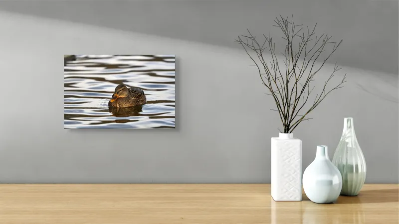 Tablou Canvas, "Rață singuratică pe oglinda apei", Rață, Apă, Plutire, Reflecție, Pene, Liniște, Natură, Serenitate., 39 x 26 cm – poza 8