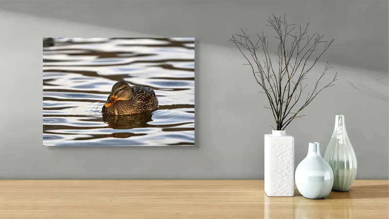 Tablou Canvas, "Rață singuratică pe oglinda apei", Rață, Apă, Plutire, Reflecție, Pene, Liniște, Natură, Serenitate., 54 x 39 cm – poza 3