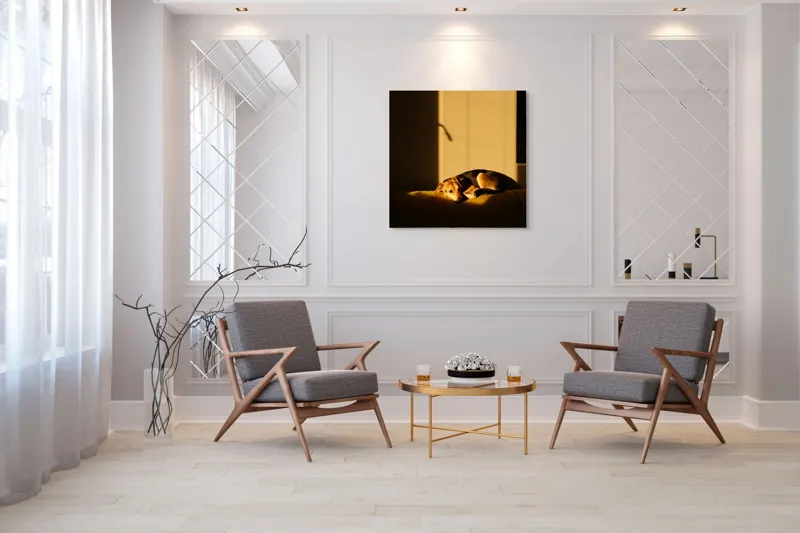 Tablou Canvas, "Câine lenevind în lumina soarelui", Câine, Lumină, Umbre, Calm, Repaus, Căldură, Relaxare, Tandrețe, 100 x 100 cm – poza 7