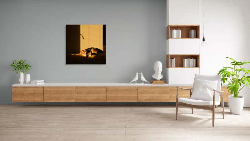 Tablou Canvas, "Câine lenevind în lumina soarelui", Câine, Lumină, Umbre, Calm, Repaus, Căldură, Relaxare, Tandrețe, 100 x 100 cm – poza 8