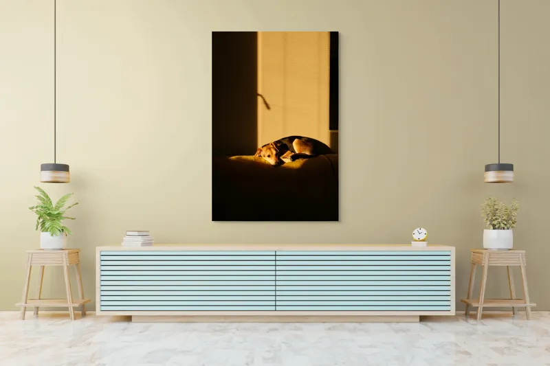 Tablou Canvas, "Câine lenevind în lumina soarelui", Câine, Lumină, Umbre, Calm, Repaus, Căldură, Relaxare, Tandrețe, 100 x 150 cm – poza 4