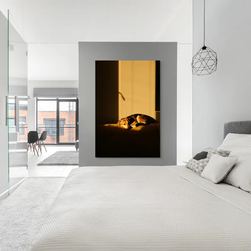 Tablou Canvas, "Câine lenevind în lumina soarelui", Câine, Lumină, Umbre, Calm, Repaus, Căldură, Relaxare, Tandrețe, 100 x 150 cm – poza 5