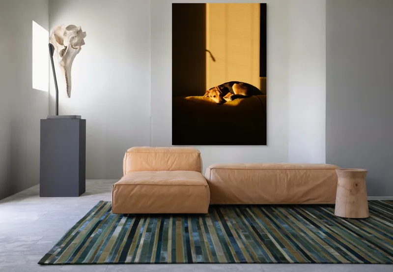 Tablou Canvas, "Câine lenevind în lumina soarelui", Câine, Lumină, Umbre, Calm, Repaus, Căldură, Relaxare, Tandrețe, 100 x 150 cm – poza 7