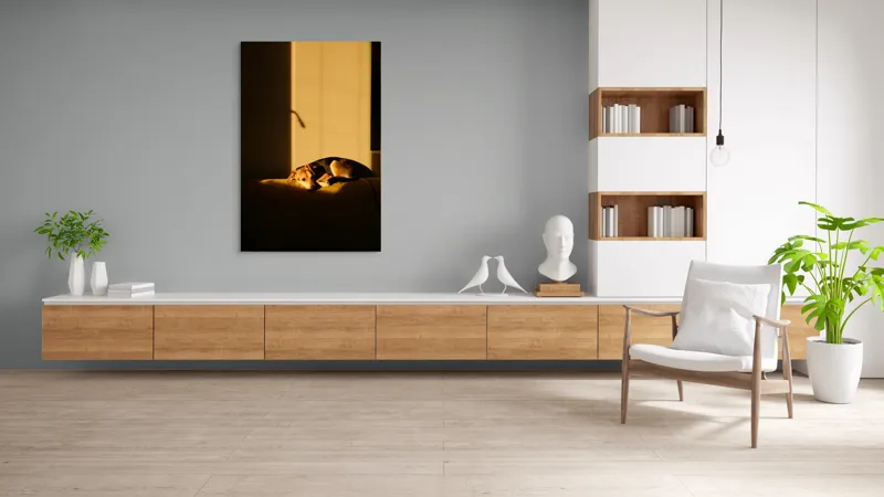 Tablou Canvas, "Câine lenevind în lumina soarelui", Câine, Lumină, Umbre, Calm, Repaus, Căldură, Relaxare, Tandrețe, 100 x 150 cm – poza 8