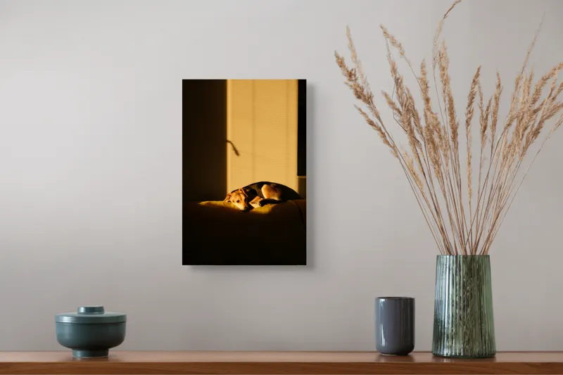 Tablou Canvas, "Câine lenevind în lumina soarelui", Câine, Lumină, Umbre, Calm, Repaus, Căldură, Relaxare, Tandrețe, 26 x 39 cm – poza 5