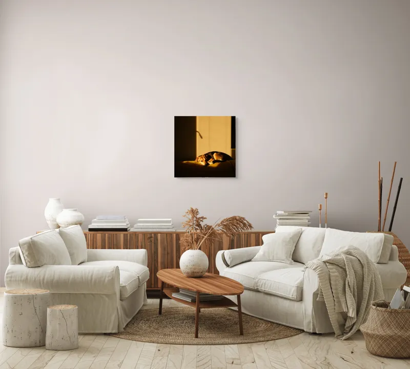 Tablou Canvas, "Câine lenevind în lumina soarelui", Câine, Lumină, Umbre, Calm, Repaus, Căldură, Relaxare, Tandrețe, 50 x 50 cm – poza 7