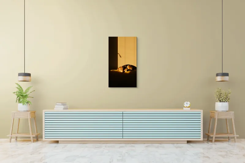 Tablou Canvas, "Câine lenevind în lumina soarelui", Câine, Lumină, Umbre, Calm, Repaus, Căldură, Relaxare, Tandrețe, 50 x 90 cm – poza 6