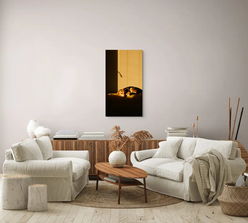 Tablou Canvas, "Câine lenevind în lumina soarelui", Câine, Lumină, Umbre, Calm, Repaus, Căldură, Relaxare, Tandrețe, 50 x 90 cm – poza 7