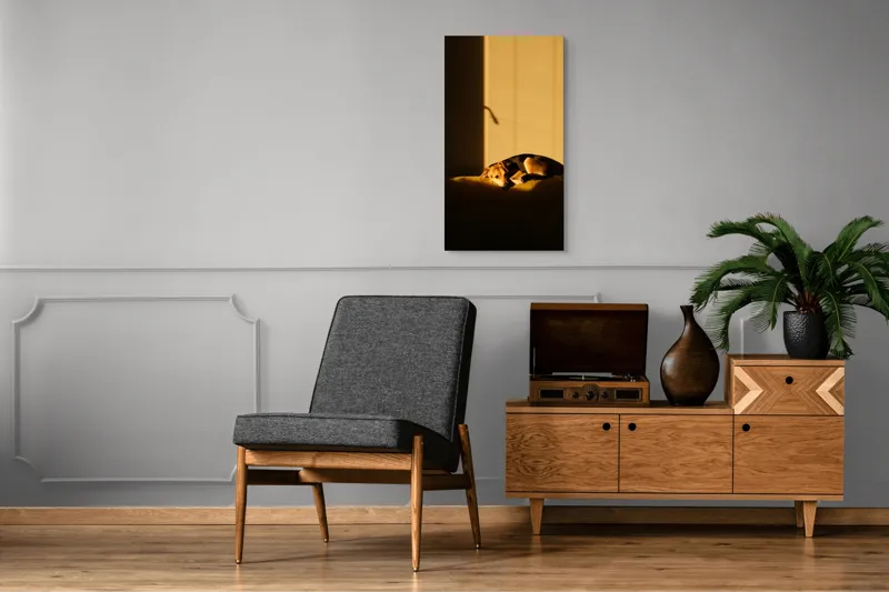 Tablou Canvas, "Câine lenevind în lumina soarelui", Câine, Lumină, Umbre, Calm, Repaus, Căldură, Relaxare, Tandrețe, 50 x 90 cm – poza 8