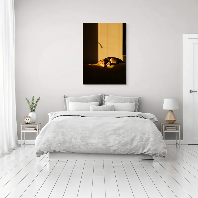 Tablou Canvas, "Câine lenevind în lumina soarelui", Câine, Lumină, Umbre, Calm, Repaus, Căldură, Relaxare, Tandrețe, 70 x 100 cm – poza 3