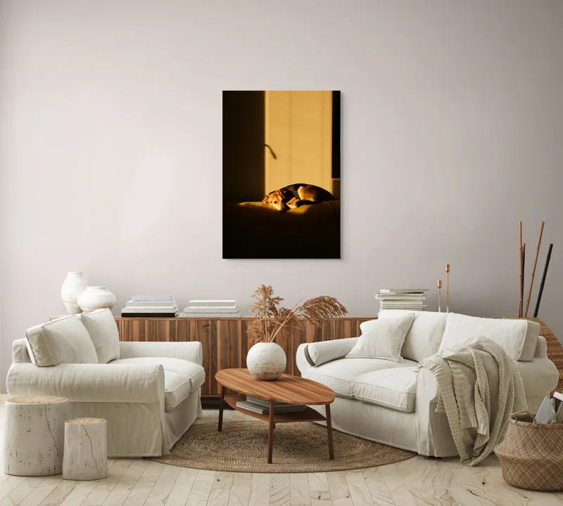 Tablou Canvas, "Câine lenevind în lumina soarelui", Câine, Lumină, Umbre, Calm, Repaus, Căldură, Relaxare, Tandrețe, 70 x 100 cm – poza 4