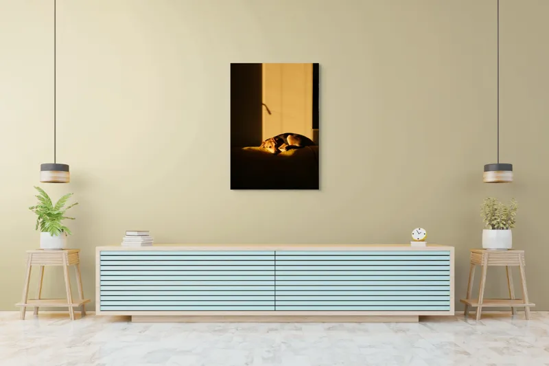Tablou Canvas, "Câine lenevind în lumina soarelui", Câine, Lumină, Umbre, Calm, Repaus, Căldură, Relaxare, Tandrețe, 70 x 100 cm – poza 5