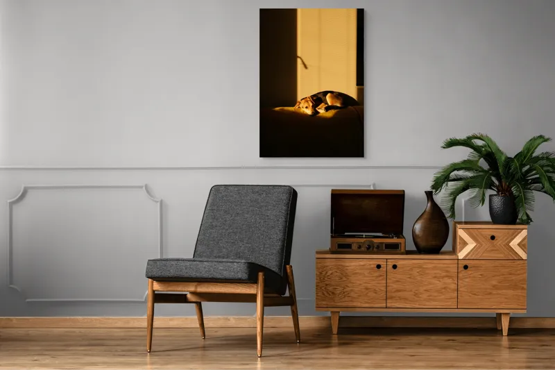 Tablou Canvas, "Câine lenevind în lumina soarelui", Câine, Lumină, Umbre, Calm, Repaus, Căldură, Relaxare, Tandrețe, 70 x 100 cm – poza 6