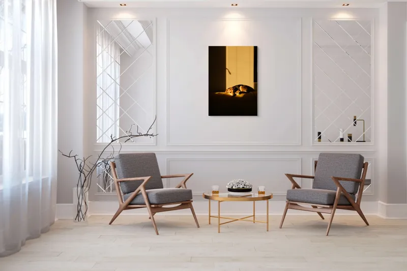 Tablou Canvas, "Câine lenevind în lumina soarelui", Câine, Lumină, Umbre, Calm, Repaus, Căldură, Relaxare, Tandrețe, 70 x 100 cm – poza 8