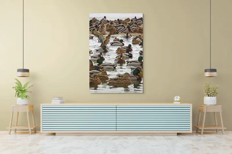 Tablou Canvas, "Rațe sălbatice pe lac întins", Rațe, Apă, Verde, Aripi, Plutire, Mulțime, Reflexie, Natură, Culoare, Mișcare, 100 x 150 cm – poza 4
