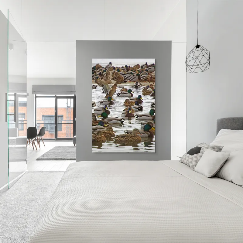 Tablou Canvas, "Rațe sălbatice pe lac întins", Rațe, Apă, Verde, Aripi, Plutire, Mulțime, Reflexie, Natură, Culoare, Mișcare, 100 x 150 cm – poza 5