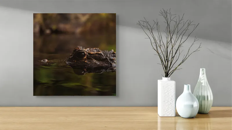Tablou Canvas, "Prădătorul tăcut al apelor tulburi", Întuneric, Reflecție, Apă, Vegetație, Reptilă, 50 x 50 cm – poza 3