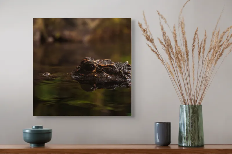 Tablou Canvas, "Prădătorul tăcut al apelor tulburi", Întuneric, Reflecție, Apă, Vegetație, Reptilă, 50 x 50 cm – poza 4