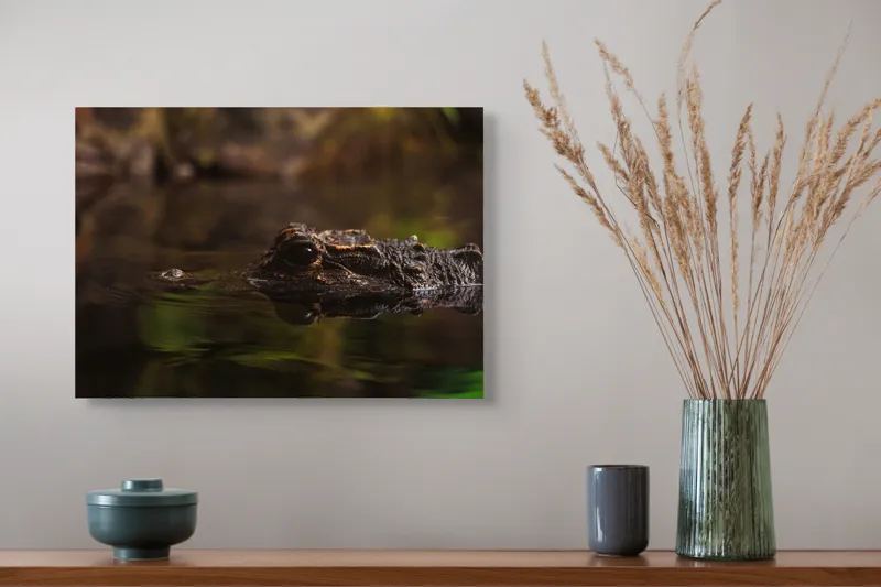 Tablou Canvas, "Prădătorul tăcut al apelor tulburi", Întuneric, Reflecție, Apă, Vegetație, Reptilă, 54 x 39 cm – poza 4