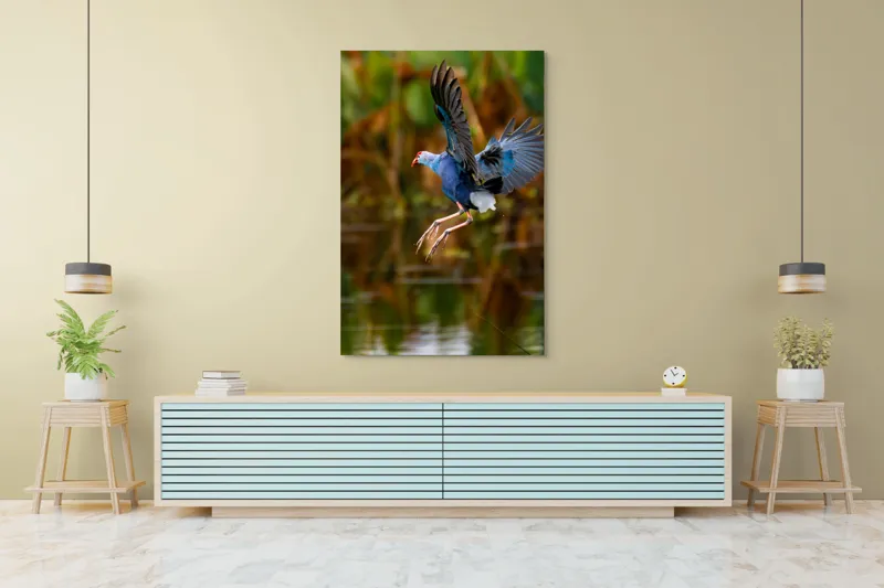 Tablou Canvas, "Zborul elegant al păsării albastre", Pasăre, Înaltare, Apă, Penaj, Aripi, Natură, Sălbăticie, Zbor, Grație, Biotop, 100 x 150 cm – poza 4