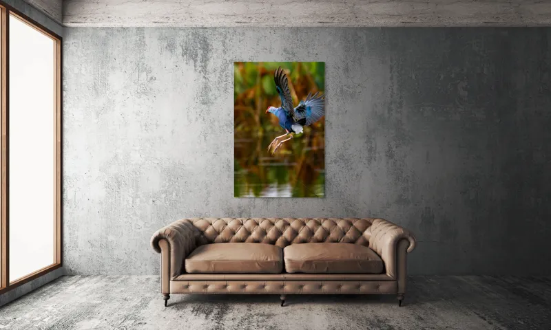 Tablou Canvas, "Zborul elegant al păsării albastre", Pasăre, Înaltare, Apă, Penaj, Aripi, Natură, Sălbăticie, Zbor, Grație, Biotop, 100 x 150 cm – poza 6