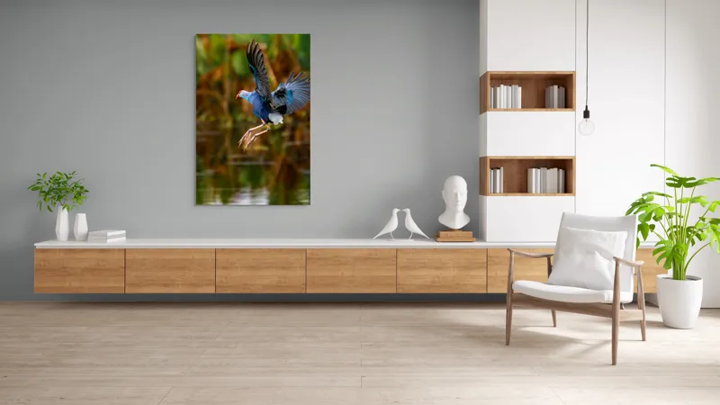 Tablou Canvas, "Zborul elegant al păsării albastre", Pasăre, Înaltare, Apă, Penaj, Aripi, Natură, Sălbăticie, Zbor, Grație, Biotop, 100 x 150 cm – poza 8