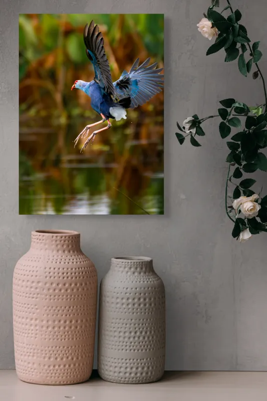 Tablou Canvas, "Zborul elegant al păsării albastre", Pasăre, Înaltare, Apă, Penaj, Aripi, Natură, Sălbăticie, Zbor, Grație, Biotop, 39 x 54 cm – poza 6