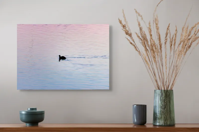 Tablou Canvas, "Silueta unei rațe la apus", Calm, Reflections, Dusk, Ripples, Serenity, 54 x 39 cm – poza 4