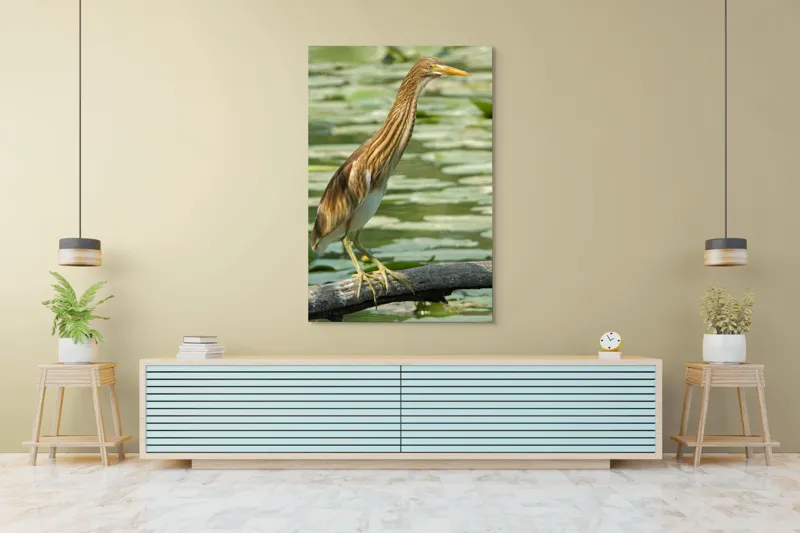 Tablou Canvas, "Egretul printre frunze de nufăr", Pasăre, Stuf, Baltă, Pene, Cioc, Apă, Vegetație, Echilibru, Natură, 100 x 150 cm – poza 4