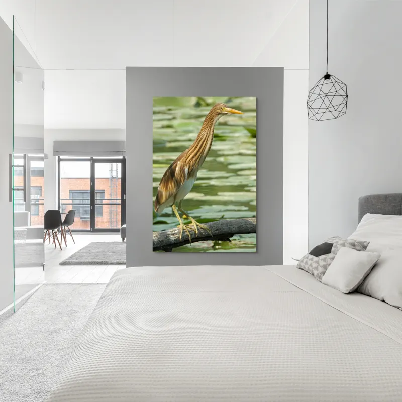 Tablou Canvas, "Egretul printre frunze de nufăr", Pasăre, Stuf, Baltă, Pene, Cioc, Apă, Vegetație, Echilibru, Natură, 100 x 150 cm – poza 5