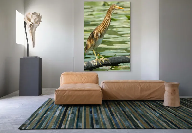 Tablou Canvas, "Egretul printre frunze de nufăr", Pasăre, Stuf, Baltă, Pene, Cioc, Apă, Vegetație, Echilibru, Natură, 100 x 150 cm – poza 7