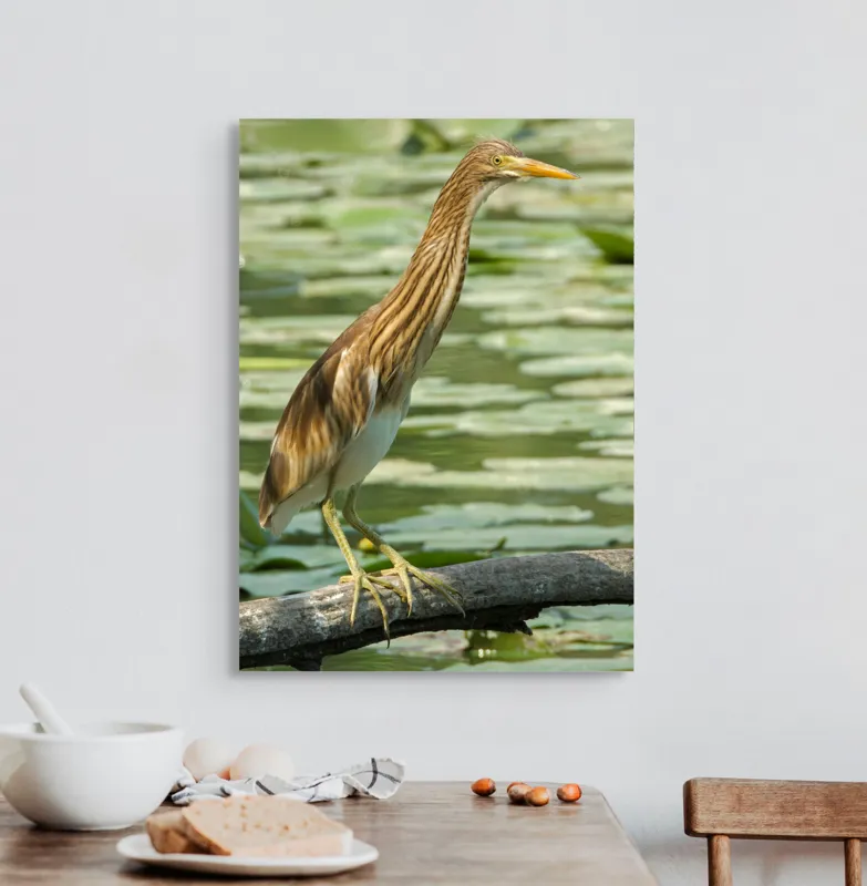 Tablou Canvas, "Egretul printre frunze de nufăr", Pasăre, Stuf, Baltă, Pene, Cioc, Apă, Vegetație, Echilibru, Natură, 50 x 70 cm – poza 3