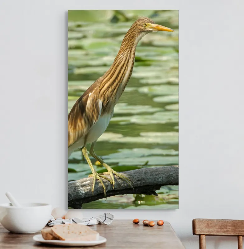Tablou Canvas, "Egretul printre frunze de nufăr", Pasăre, Stuf, Baltă, Pene, Cioc, Apă, Vegetație, Echilibru, Natură, 50 x 90 cm – poza 3