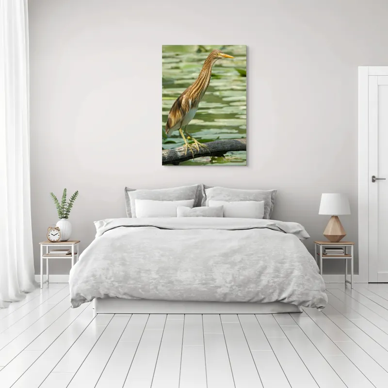Tablou Canvas, "Egretul printre frunze de nufăr", Pasăre, Stuf, Baltă, Pene, Cioc, Apă, Vegetație, Echilibru, Natură, 70 x 100 cm – poza 3