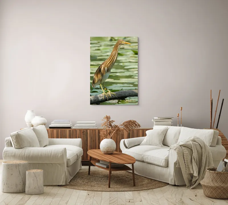 Tablou Canvas, "Egretul printre frunze de nufăr", Pasăre, Stuf, Baltă, Pene, Cioc, Apă, Vegetație, Echilibru, Natură, 70 x 100 cm – poza 4