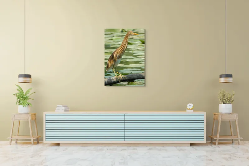 Tablou Canvas, "Egretul printre frunze de nufăr", Pasăre, Stuf, Baltă, Pene, Cioc, Apă, Vegetație, Echilibru, Natură, 70 x 100 cm – poza 5