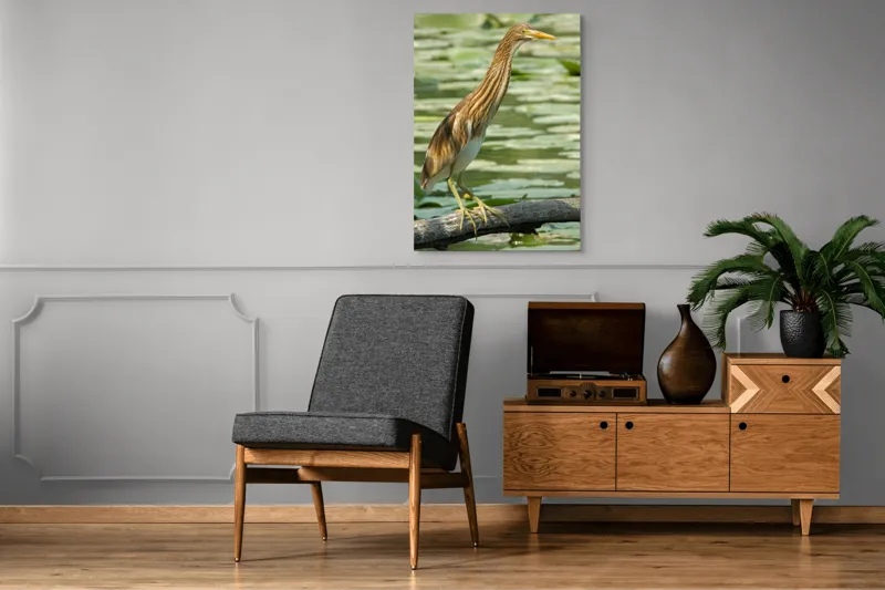 Tablou Canvas, "Egretul printre frunze de nufăr", Pasăre, Stuf, Baltă, Pene, Cioc, Apă, Vegetație, Echilibru, Natură, 70 x 100 cm – poza 6