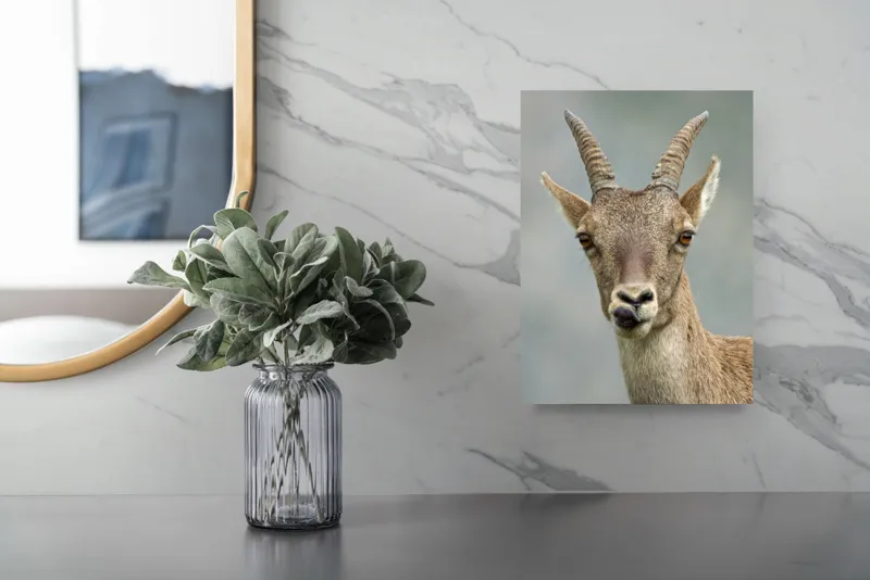 Tablou Canvas Capră în Peisaj Montan - Tonuri Calde Maro, 26 x 39 cm – poza 4