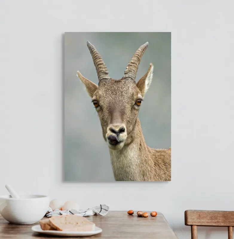Tablou Canvas Capră în Peisaj Montan - Tonuri Calde Maro, 50 x 70 cm – poza 3
