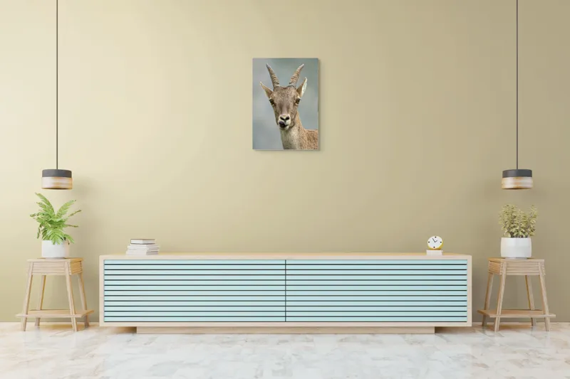 Tablou Canvas Capră în Peisaj Montan - Tonuri Calde Maro, 50 x 70 cm – poza 6