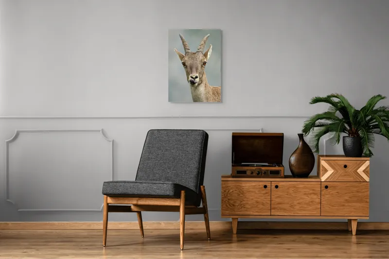 Tablou Canvas Capră în Peisaj Montan - Tonuri Calde Maro, 50 x 70 cm – poza 8