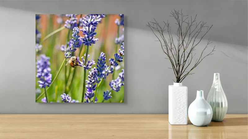 Tablou Canvas Albina printre flori de lavandă Natură și Aromă, 50 x 50 cm – poza 3