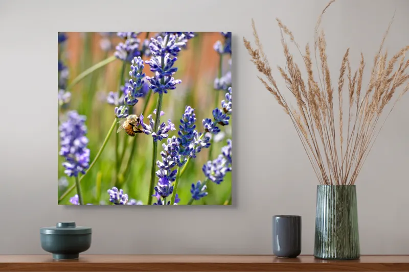 Tablou Canvas Albina printre flori de lavandă Natură și Aromă, 50 x 50 cm – poza 4