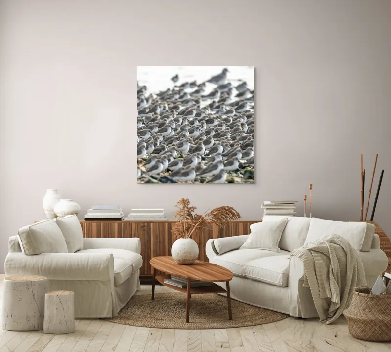Tablou Canvas, "Dansul miilor de păsări marine", Grupuri, Nisip, Pene, Păsări, Coastă, Agitație, Mișcare, Natură, Armonie, Multitudine, 100 x 100 cm – poza 3