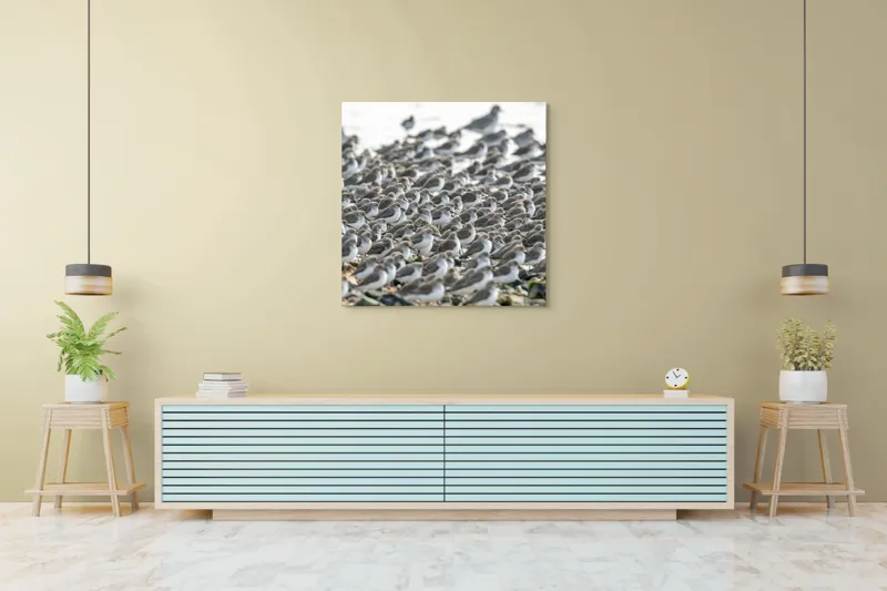 Tablou Canvas, "Dansul miilor de păsări marine", Grupuri, Nisip, Pene, Păsări, Coastă, Agitație, Mișcare, Natură, Armonie, Multitudine, 100 x 100 cm – poza 5
